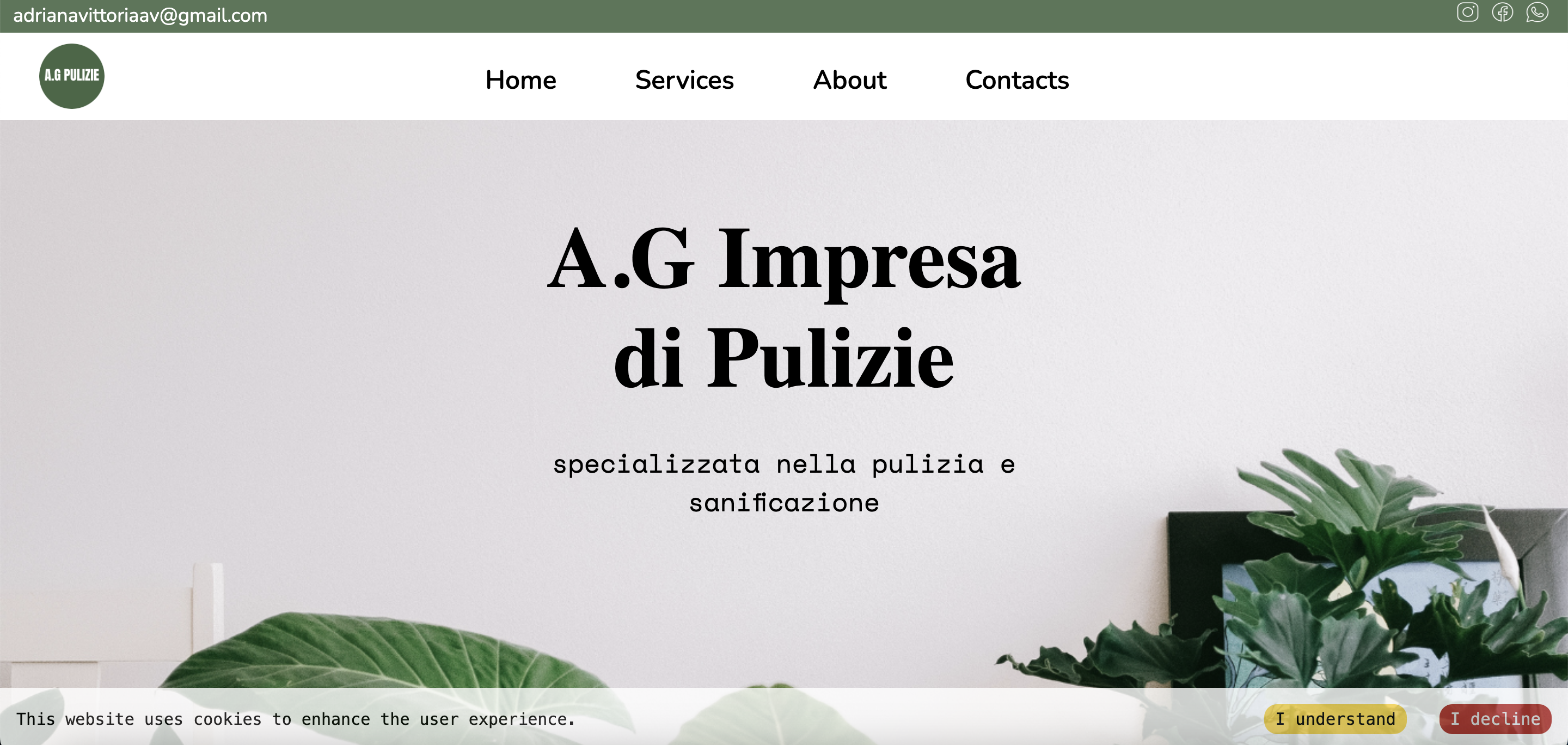 Ag Pulizie Website